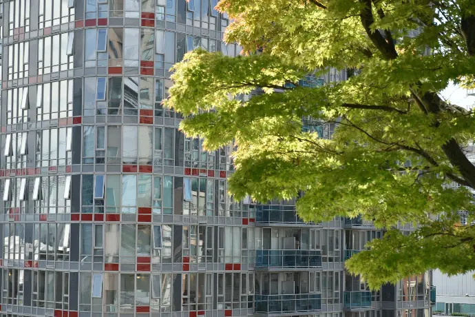 a tall building with many windows next to a tree